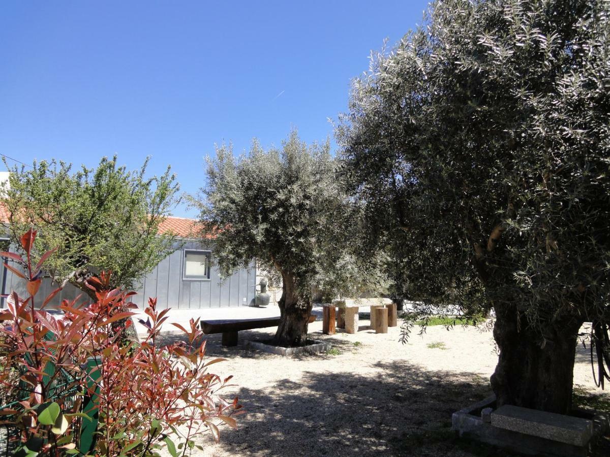Casas Do Mondego Guest House Porto da Carne Ngoại thất bức ảnh